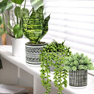 Winlyn 3 Pcs Small Potted Plants Artificial Succulents Hanging Plants and Faux Tropical Snake Plant in Black Geometric Pots for Modern Home Kitchen Windowsill Table Shelf Indoor Outdoor Greenery Decor