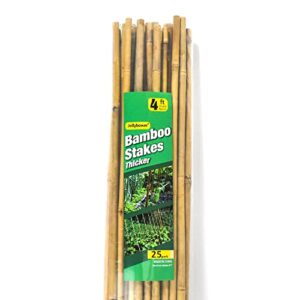 Jollybower 25pcs 1/2" D Thicker Heavy Duty Bamboo Stakes, 4FT Plant Stakes, Natural Garden Stakes for Tomato, Bean, Flowers,Trees Potted and Climbing Plant Support