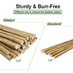 Jollybower 25pcs 1/2" D Thicker Heavy Duty Bamboo Stakes, 4FT Plant Stakes, Natural Garden Stakes for Tomato, Bean, Flowers,Trees Potted and Climbing Plant Support