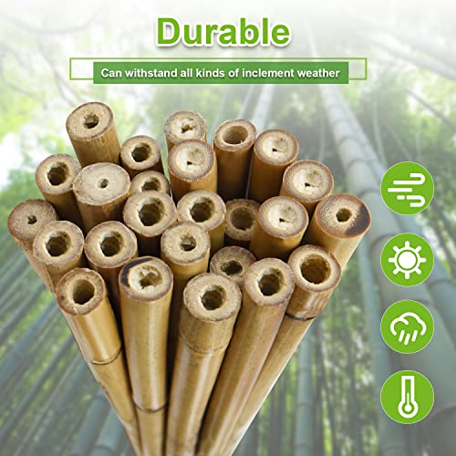Jollybower 25pcs 1/2" D Thicker Heavy Duty Bamboo Stakes, 4FT Plant Stakes, Natural Garden Stakes for Tomato, Bean, Flowers,Trees Potted and Climbing Plant Support