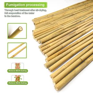 Jollybower 25pcs 1/2" D Thicker Heavy Duty Bamboo Stakes, 4FT Plant Stakes, Natural Garden Stakes for Tomato, Bean, Flowers,Trees Potted and Climbing Plant Support