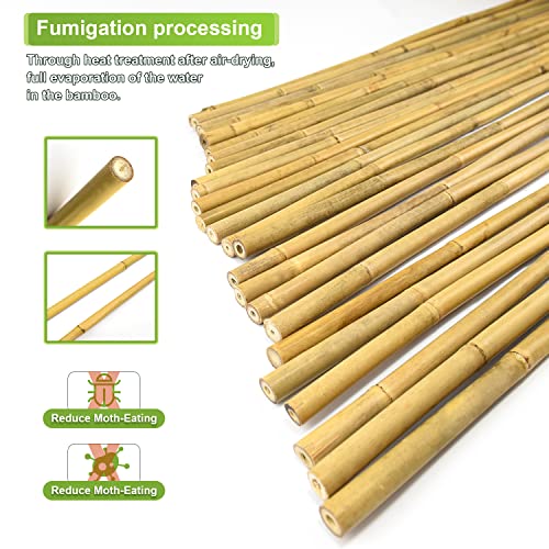 Jollybower 25pcs 1/2" D Thicker Heavy Duty Bamboo Stakes, 4FT Plant Stakes, Natural Garden Stakes for Tomato, Bean, Flowers,Trees Potted and Climbing Plant Support