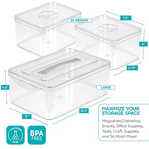 Richards Homewares Plastic Storage Containers with Lids for Organizing - 1 Large and 2 Medium Bins - Clear Box for Closet, Kitchen, Pantry, Garage, Toys and Shoes