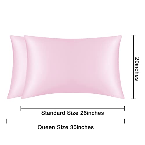 Satin Pillowcase for Hair and Skin, 2 Pack Pink Silk Pillowcase Standard Satin Pillowcase with Envelope Closure(Pink, 20x26 inches)