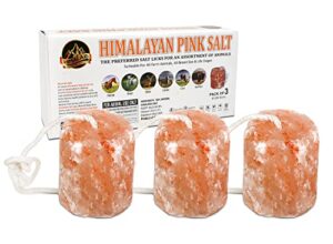 himalaid himalayan salt lick on rope for horses, cattles, and other livestock, 6 lbs each (3 pack)