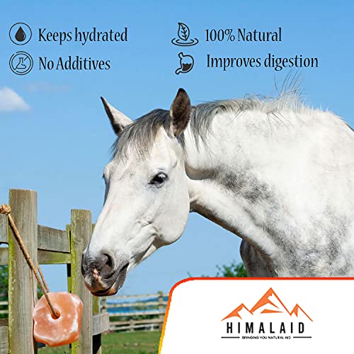 Himalaid Himalayan Salt Lick on Rope for Horses, Cattles, and Other Livestock, 6 LBS Each (3 Pack)