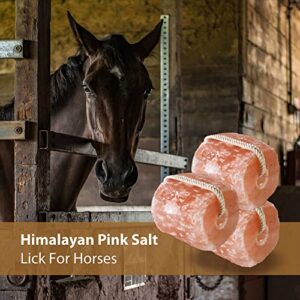 Himalaid Himalayan Salt Lick on Rope for Horses, Cattles, and Other Livestock, 6 LBS Each (3 Pack)