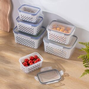 Yiser Double Layer Draining Basket Fresh Keeping Box Kitchen Supplies Sealed Box Plastic Fresh Keeping Box Refrigerator Fruit Storage Sticky Rice Basket (C, One Size)