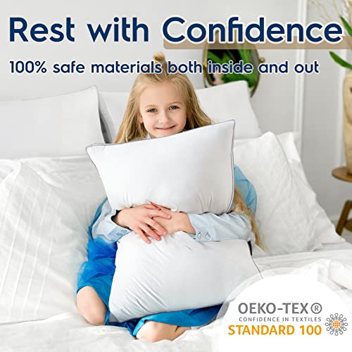 viewstar Pillows Standard Size Set of 2, Bed Pillows for Sleeping, Standard Pillows 2 Pack for Back, Stomach or Side Sleepers, Fluffy Pillows for Bed with Down Alternative, Machine Washable, 18" x 24"