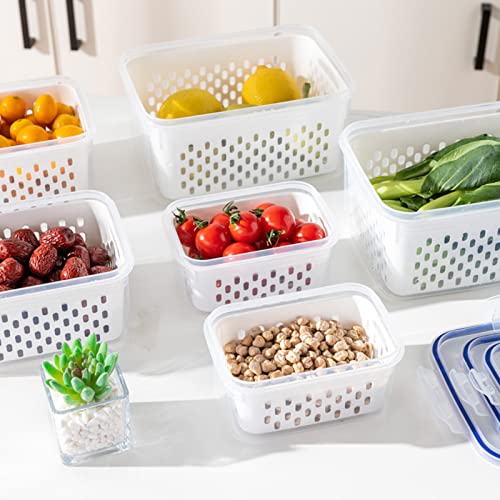 Yiser Double Layer Draining Basket Fresh Keeping Box Kitchen Supplies Sealed Box Plastic Fresh Keeping Box Refrigerator Fruit Storage Sticky Rice Basket (D, One Size)