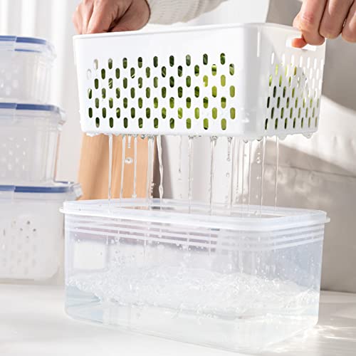 Yiser Double Layer Draining Basket Fresh Keeping Box Kitchen Supplies Sealed Box Plastic Fresh Keeping Box Refrigerator Fruit Storage Sticky Rice Basket (D, One Size)