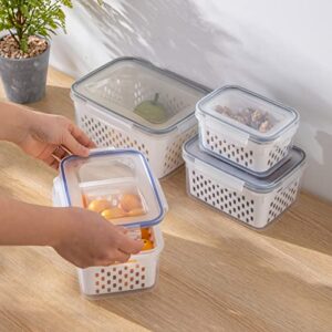 Yiser Double Layer Draining Basket Fresh Keeping Box Kitchen Supplies Sealed Box Plastic Fresh Keeping Box Refrigerator Fruit Storage Sticky Rice Basket (D, One Size)