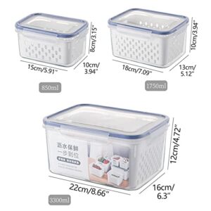 Yiser Double Layer Draining Basket Fresh Keeping Box Kitchen Supplies Sealed Box Plastic Fresh Keeping Box Refrigerator Fruit Storage Sticky Rice Basket (D, One Size)