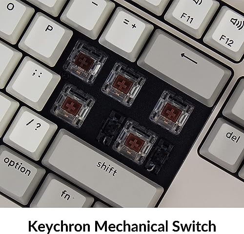 Keychron C2 104 Keys Full Size Wired Mechanical Keyboard for Mac Windows, Classic Retro Gray/White Color ABS Keycaps Brown Switch USB-C Gaming Keyboard for Gamer/Typists/Office/Home