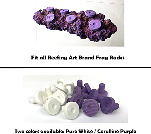 Reefing Art Ceramic Coralline Purple Coral Frag Plugs 100 Pack Free Aquarium Glue for SPS LPS