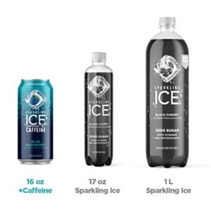 Sparkling Ice +Caffeine Variety Pack-Black Raspberry/Blue Raspberry/Strawberry Citrus/Citrus Twist 12 16oz Can