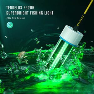 Tendelux Underwater Fishing Light, 110V Super Bright Green LED Submersible Light Attractants for Docks, Boats or Kayaks, IP68 Rated for Fresh & Salt Water (30ft Cable)