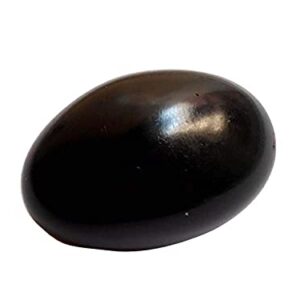 Anjali Enterprises Shaligram Black Stone/Shaligram Shila for Pooja for Divine Blessings 4.5 cm