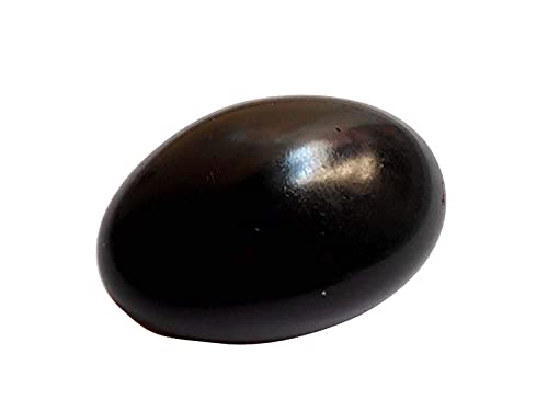 Anjali Enterprises Shaligram Black Stone/Shaligram Shila for Pooja for Divine Blessings 4.5 cm