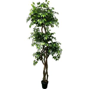 hand-made 6.5' ficus artificial tree with ethically sourced real wood trunks | green | cypress & alabaster