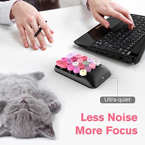 PINKCAT Wireless Number Pad, Cute 18 Keys Numeric Keypad with 2.4G Mini USB Receiver, Portable Silent Number Numpad Financial Accounting for Laptop, PC, Notebook, Desktop, Surface - Black Mix