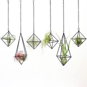 szruizfz black metal air plant hanger, tillandsia air plants holders unique, modern air fern display stand with chains for home wall decor,octahedron himmeli geometric decor, home decor gifts (6pcs)