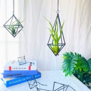 SZRUIZFZ Black Metal Air Plant Hanger, Tillandsia Air Plants Holders Unique, Modern Air Fern Display Stand with Chains for Home Wall Decor,Octahedron Himmeli Geometric Decor, Home Decor Gifts (6Pcs)