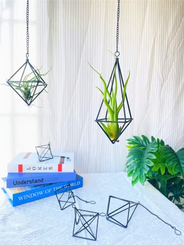 SZRUIZFZ Black Metal Air Plant Hanger, Tillandsia Air Plants Holders Unique, Modern Air Fern Display Stand with Chains for Home Wall Decor,Octahedron Himmeli Geometric Decor, Home Decor Gifts (6Pcs)