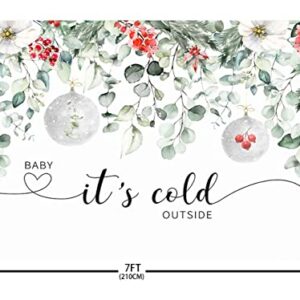 AIBIIN 7x5ft Winter Baby It's Cold Outside Backdrop Christmas Eucalyptus Leaves Baby Shower Decorations Winter Photography Background for Baby Shower Photo Booth Props