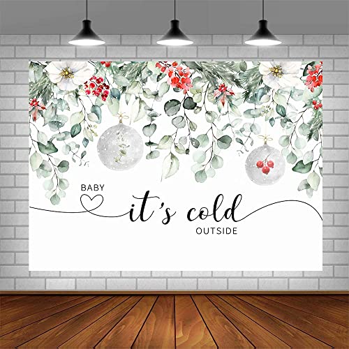 AIBIIN 7x5ft Winter Baby It's Cold Outside Backdrop Christmas Eucalyptus Leaves Baby Shower Decorations Winter Photography Background for Baby Shower Photo Booth Props