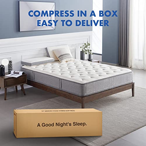 Twin XL Mattress,10" Memory Foam Hybrid Mattress with Pocket Spring,Medium-Firm Foam Mattress Tight Top Mattress Sleep Motion Isolation, Supportive & Pressure Relief,Mattress-in-a-Box by DIGLANT