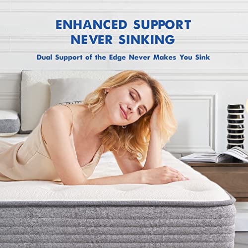 Twin XL Mattress,10" Memory Foam Hybrid Mattress with Pocket Spring,Medium-Firm Foam Mattress Tight Top Mattress Sleep Motion Isolation, Supportive & Pressure Relief,Mattress-in-a-Box by DIGLANT