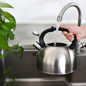 GGC 3L Tea Kettle for Stove Top, Loud Whistling Tea Kettles Water Boiler, Stainless Steel Kettle with Anti-Heat Handle and Simple Touch Button to Control Kettle Outlet