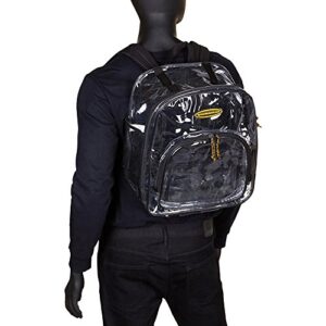 Varsity High School or College-Clear Backpack