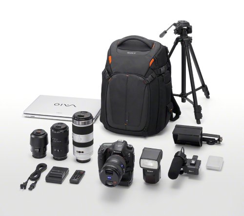 Sony LCSBP3 DSLR System Backpack with Laptop Storage, (Black),Large