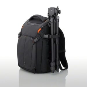 Sony LCSBP3 DSLR System Backpack with Laptop Storage, (Black),Large