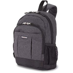 SwissGear Sling Bag