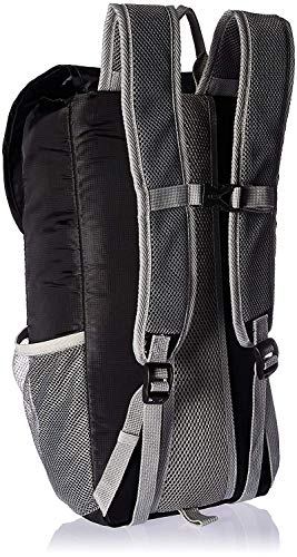 Lewis N. Clark Lightweight Packable Backpack Bag w/RFID Pocket, Black, 18 inch