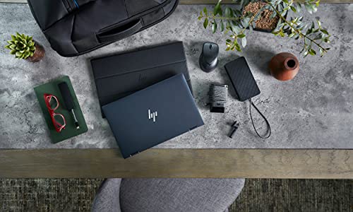 HP Executive 17.3 Backpack