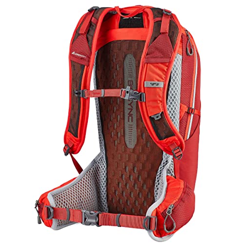 Gregory Mountain Products Miwok 18 Liter Men's Daypack, Vivid Red