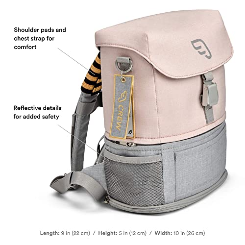 JetKids by Stokke Crew BackPack, Pink Lemonade - Kid’s Lightweight Expandable Bag - Great for School & Travel - Adjustable & Water-Resistant - Best for Ages 2-7