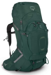 osprey aether plus 60l men's backpacking backpack, axo green, s/m