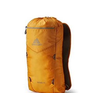 Gregory Mountain Products Nano 14 Daypack,Burnt Amber,One Size