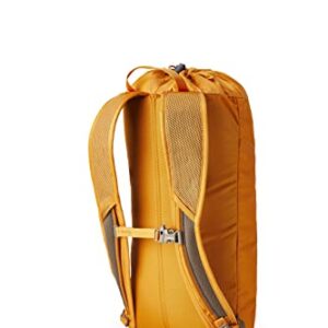 Gregory Mountain Products Nano 14 Daypack,Burnt Amber,One Size