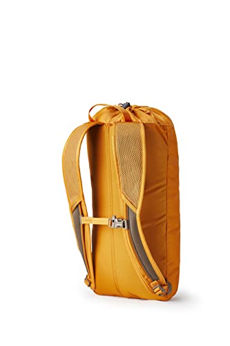 Gregory Mountain Products Nano 14 Daypack,Burnt Amber,One Size