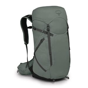 osprey sportlite 30l unisex hiking backpack, pine leaf green, s/m