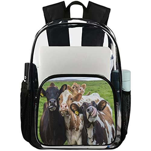 Funny Cows Clear Backpack, Cute Animal Heavy Duty Transparent Backpack Waterproof Bookbag with Adjustable Shoulder Straps for Work Travel School Stadium Security Travel