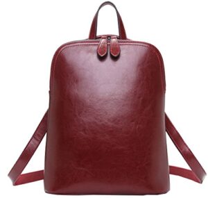 heshe leather backpack designer purse for women fashion ladies travel college shoulder bag (wine-j039)