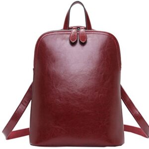 HESHE Leather Backpack Designer Purse for Women Fashion Ladies Travel College Shoulder Bag (Wine-J039)