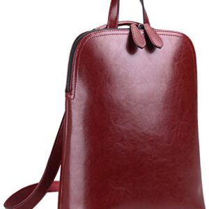 HESHE Leather Backpack Designer Purse for Women Fashion Ladies Travel College Shoulder Bag (Wine-J039)